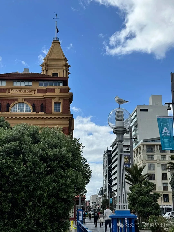 1763540697434686.png 3.webp.png