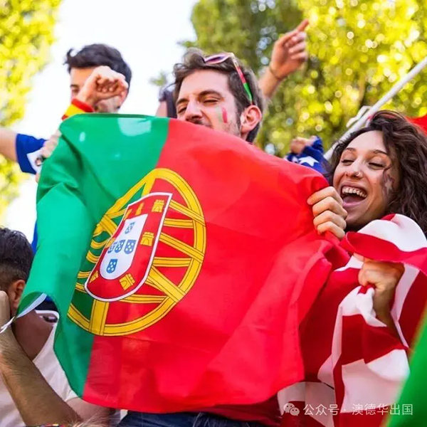 1767518123741196.png 7.webp.png