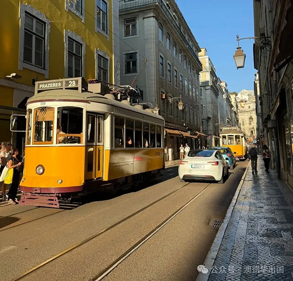 1769587823115515.png 4.webp.png