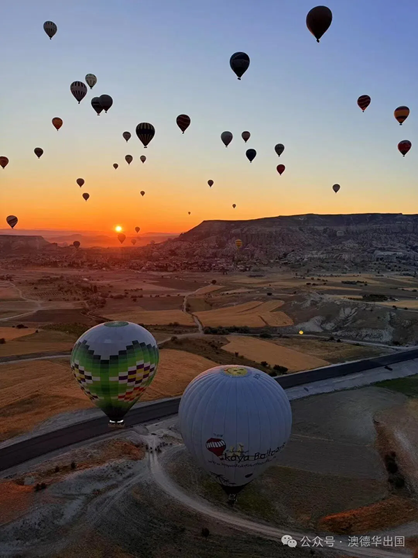 1772176665791752.png 6.webp.png