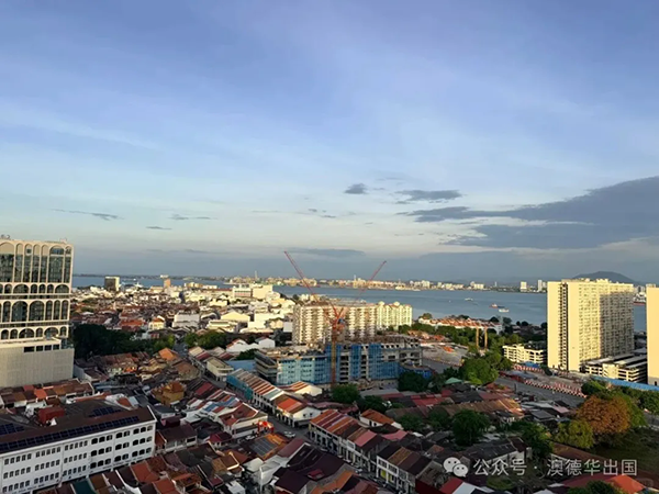 1775035906579192.png 4.webp.png