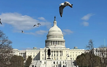 「美国移民」恭喜！新政客户I-526E获批，去年3月递交，喜提“绿卡通行证”！