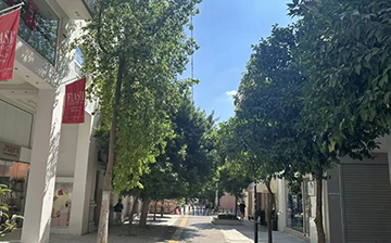 「澳德华快讯」备用身份 + 居留路径：如何选择适合你的 Plan B？