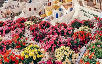 「澳德华快讯」别人家的绿卡都到手了，你还在犹豫？